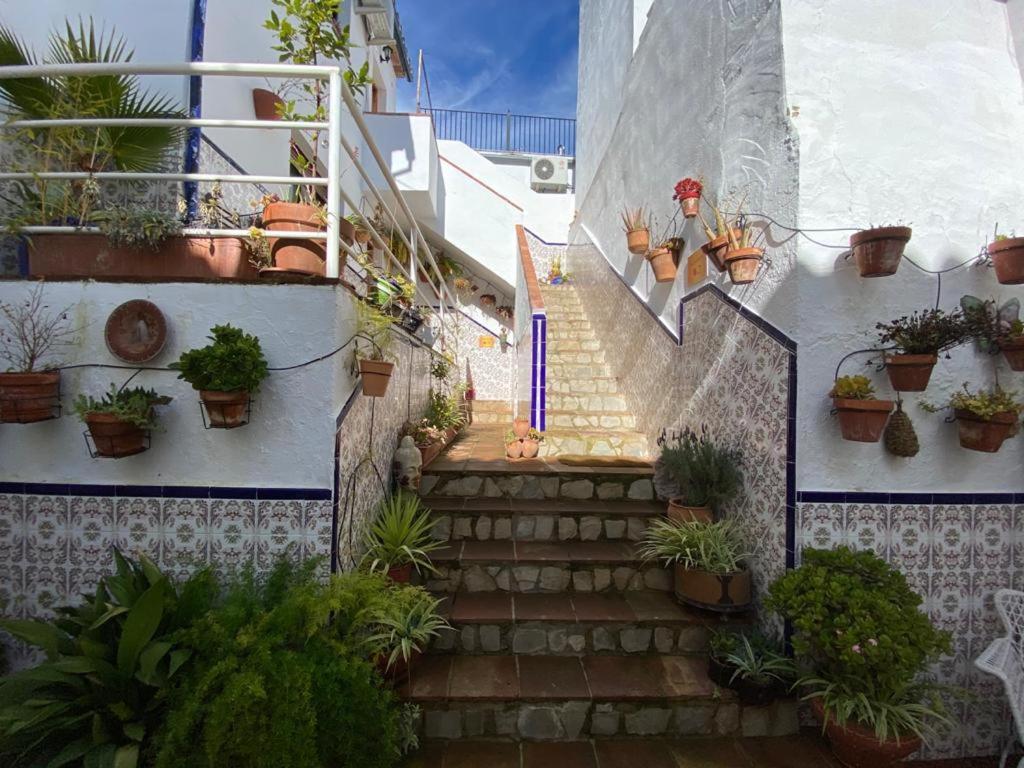 Buddhalounge Apartments روندا المظهر الخارجي الصورة