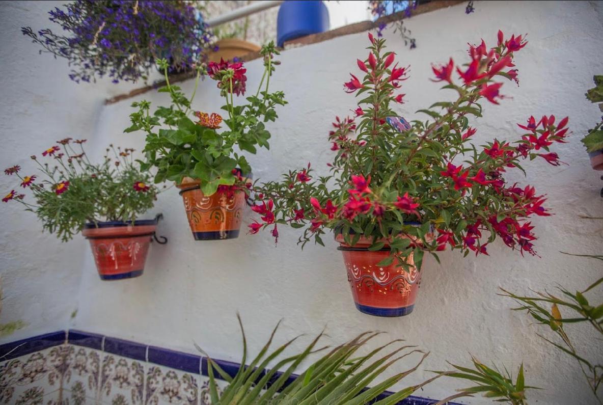Buddhalounge Apartments روندا المظهر الخارجي الصورة
